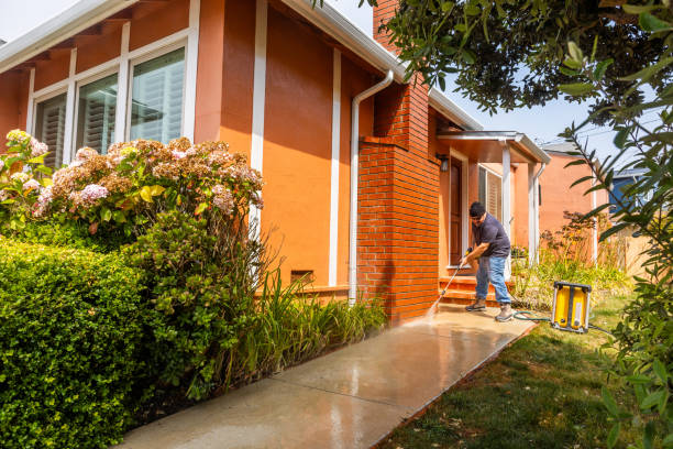 Best Local Pressure Washing Services  in Miller Place, NY